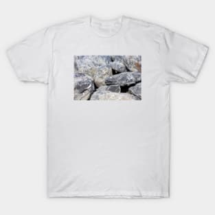 Boulders Stacked On Top Of One Another T-Shirt